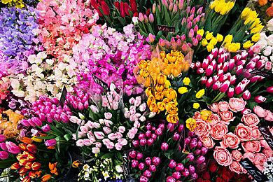 《Broken Roads》11月14日登陆多平台 俯视角叙事性RPG