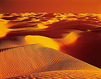 9月28日《哥特王朝》初代强化移植Switch